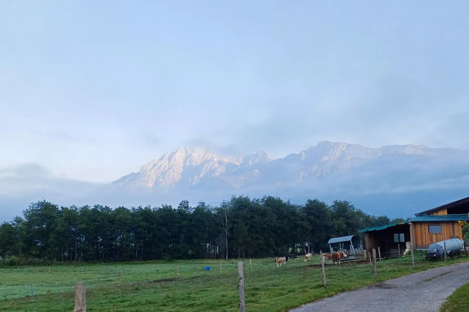 Ferienwohnung am Bio-Bauernhof-Gebieden zomer 1km