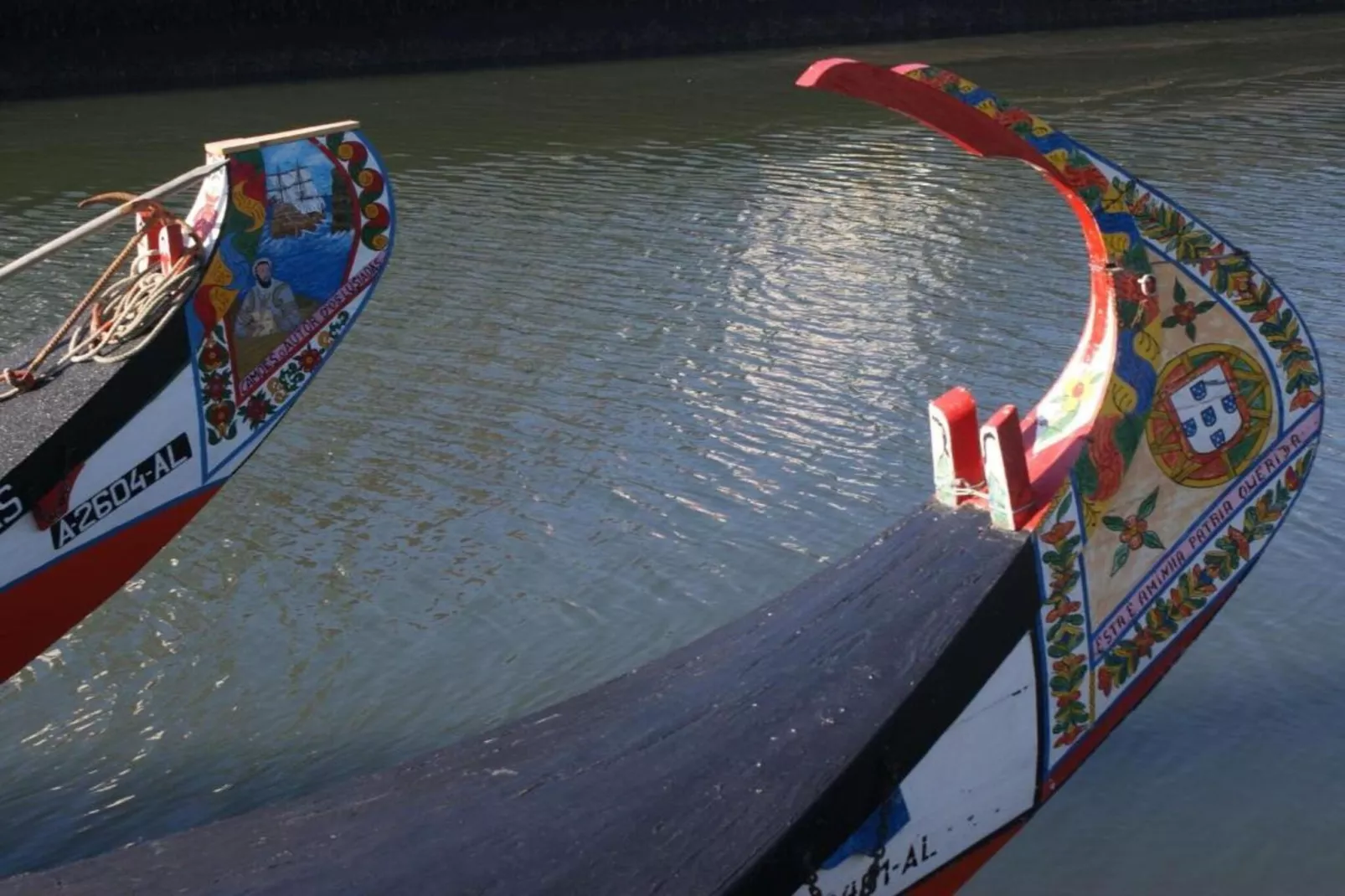 Casa Oliveirinha-Gebieden zomer 20km