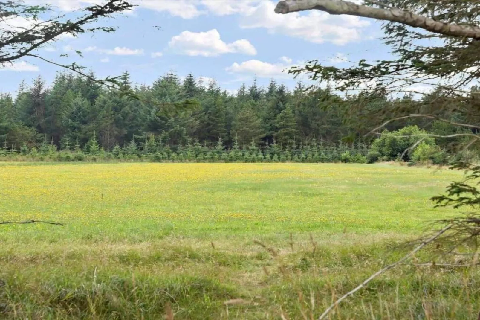 6 persoons vakantie huis in Bedsted Thy-By Traum-Niet-getagd