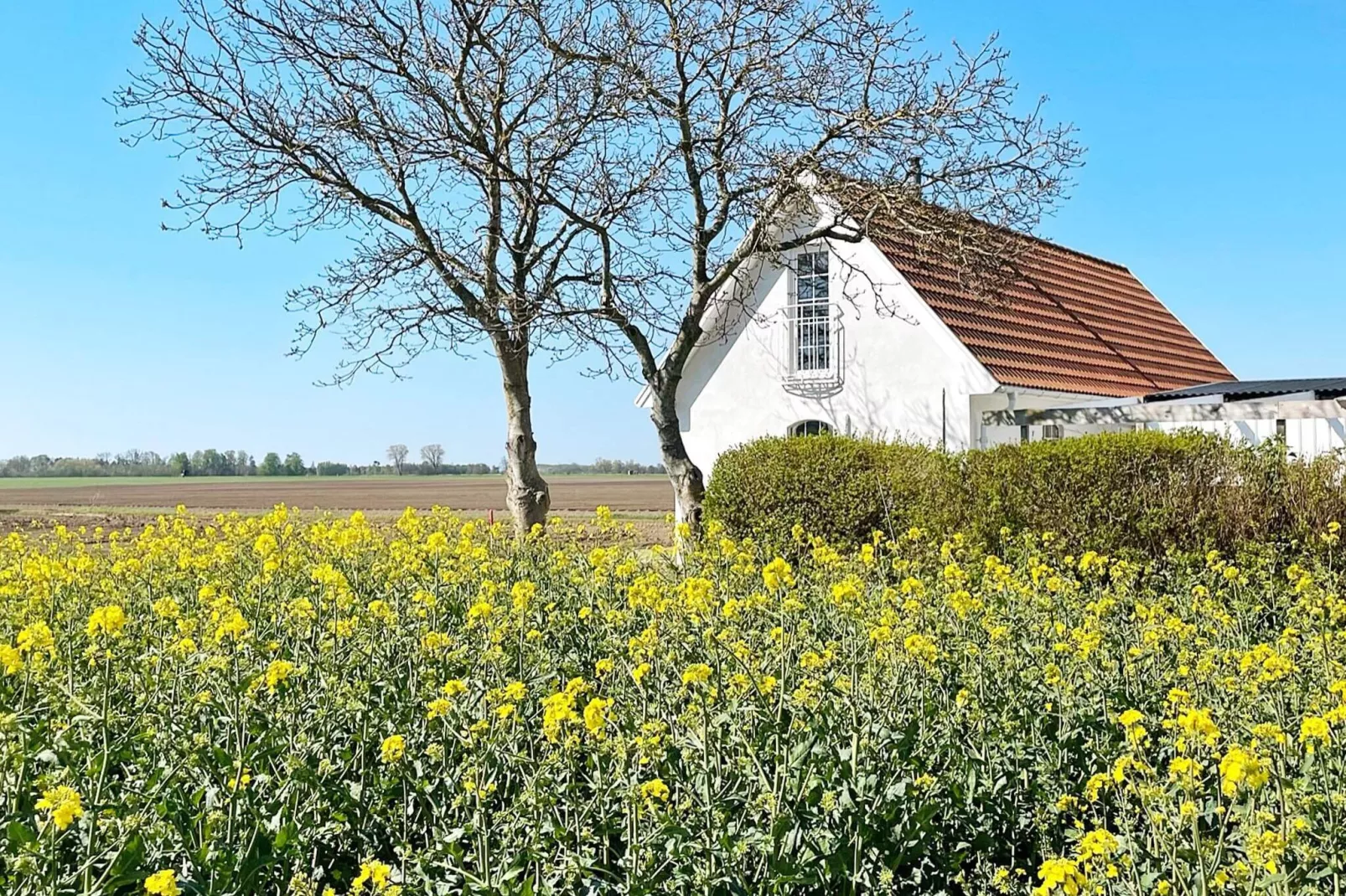 6 persoons vakantie huis in SKIVARP-By Traum