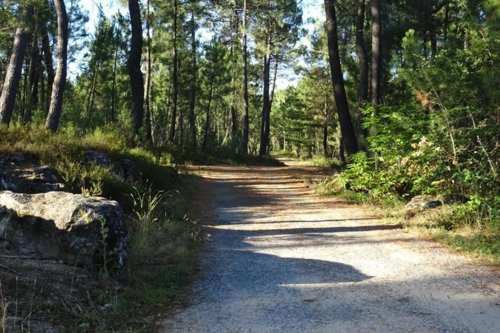 LA BOSCALIERE/ CHABROUD-Gebieden zomer 20km