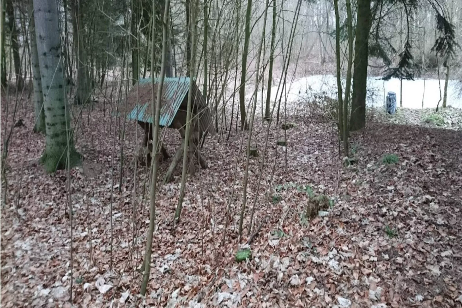 4 persoons vakantie huis in Væggerløse-By Traum-Buitenlucht