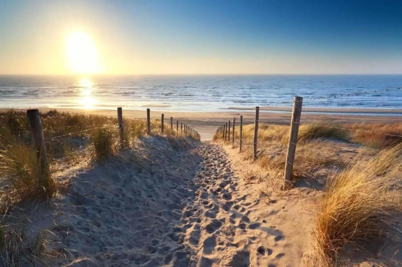 Vakantiepark Duinzicht 5-Gebieden zomer 20km