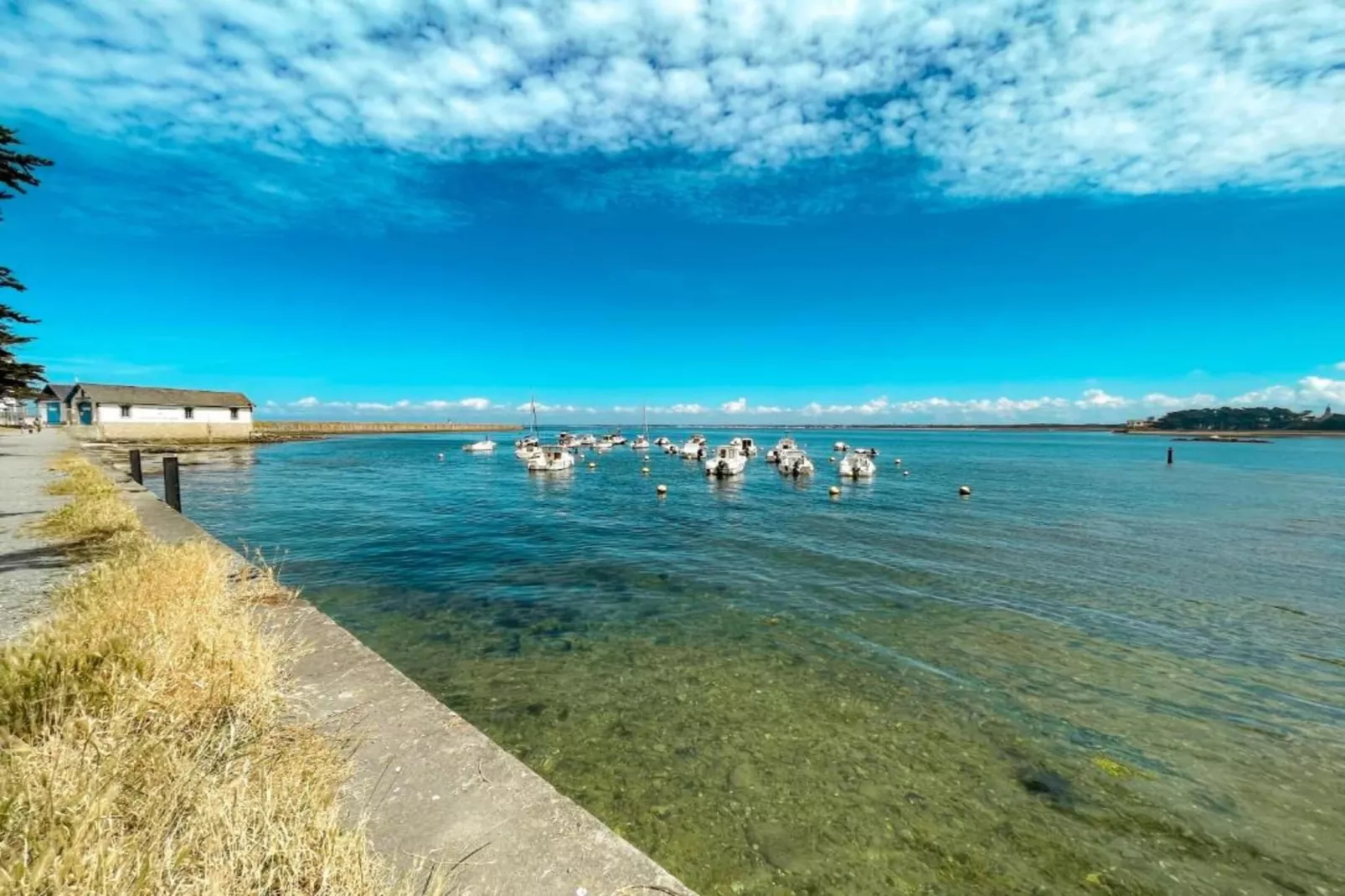 Résidence Valentin Plage 1-Gebieden zomer 5km