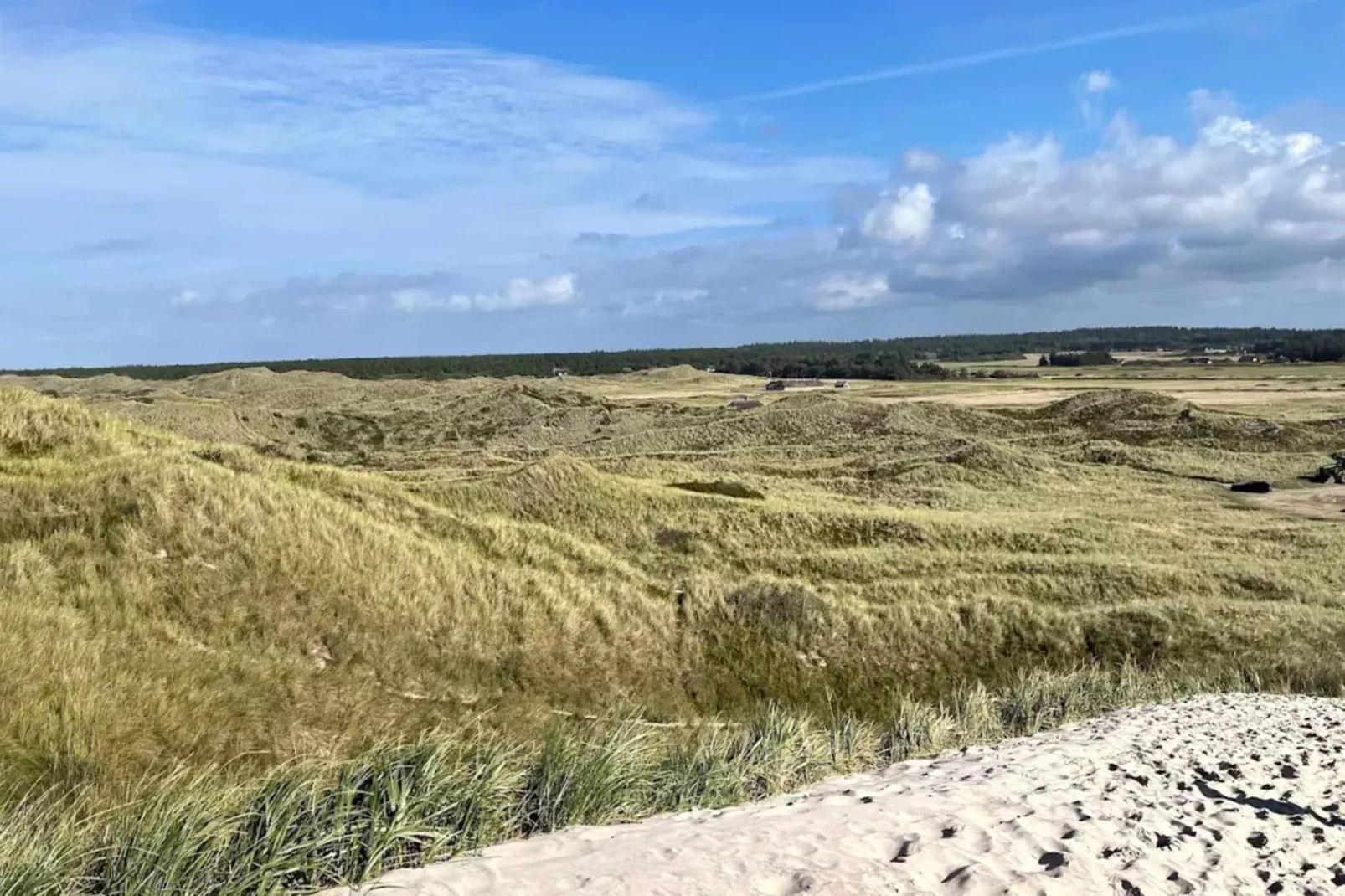 8 persoons vakantie huis in Ulfborg-By Traum-Niet-getagd