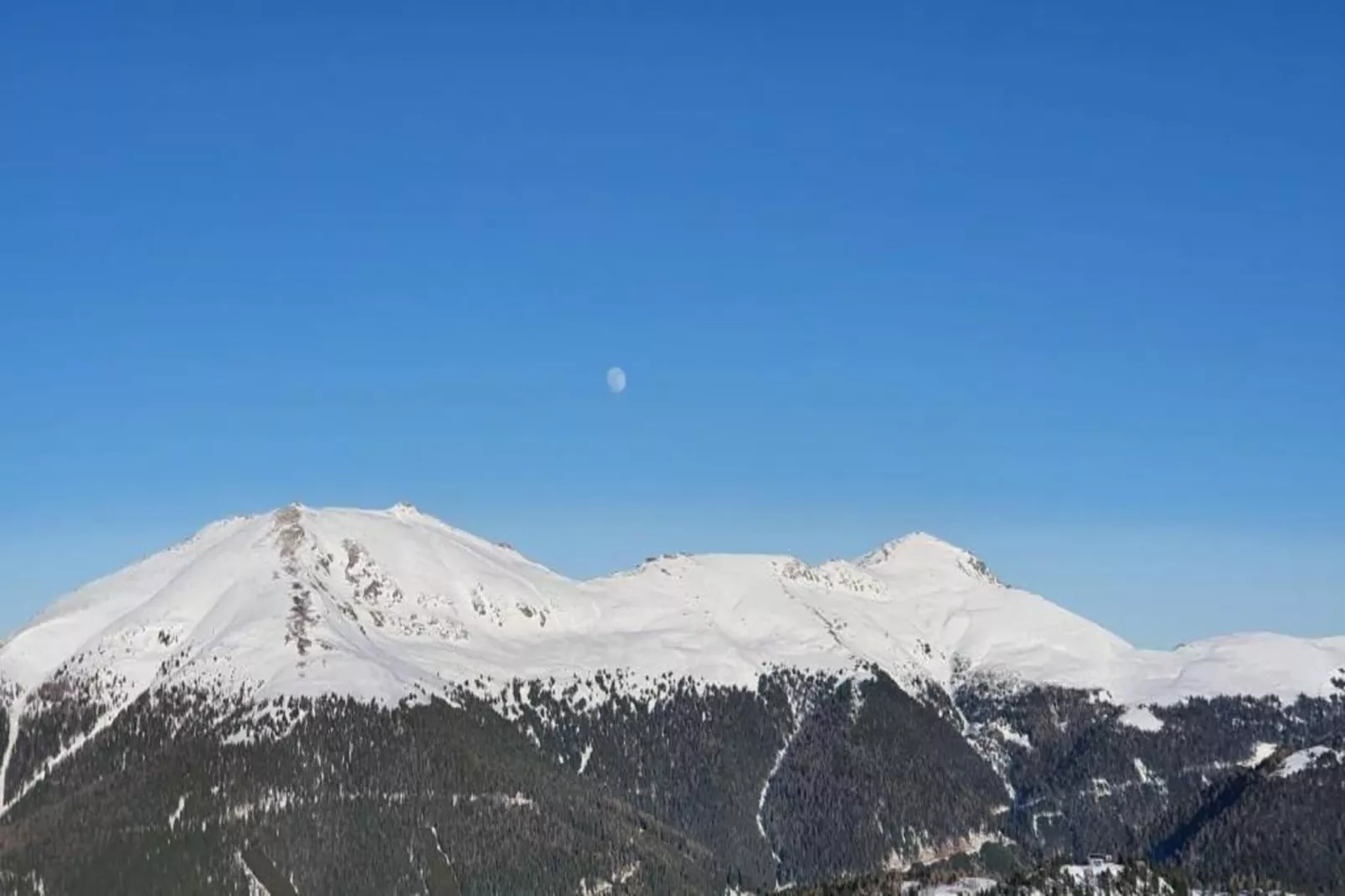 Schneiderhütte-Gebied winter 20km