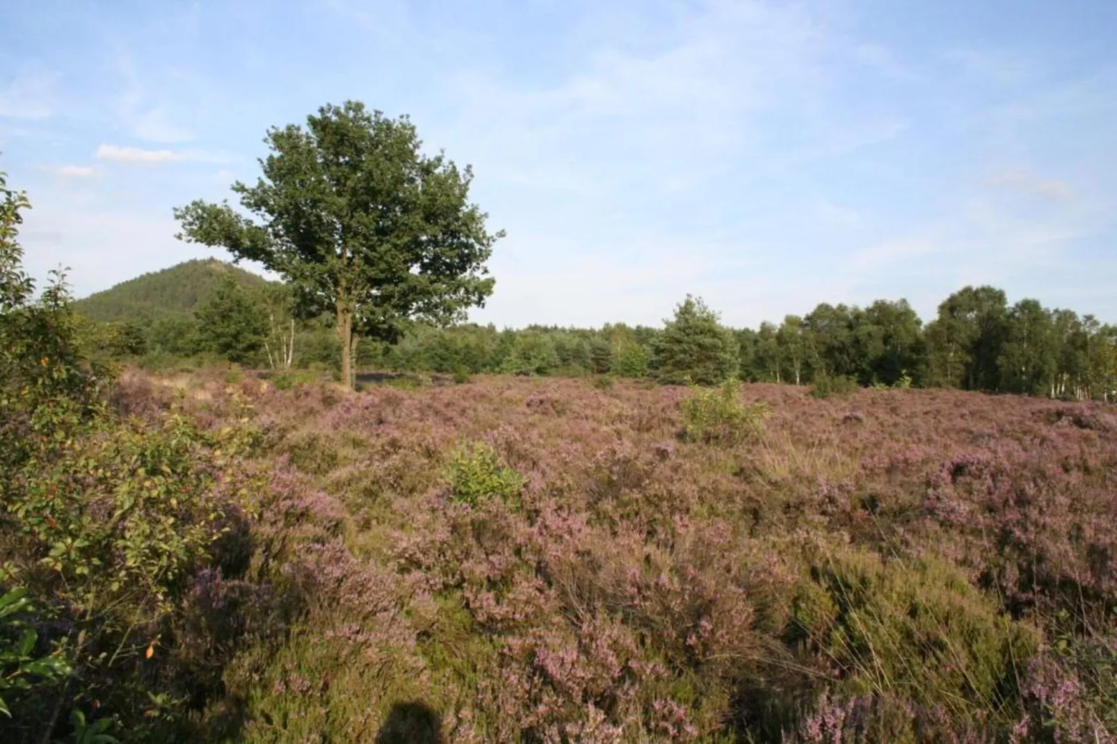 Hengelhoef-Gebieden zomer 20km