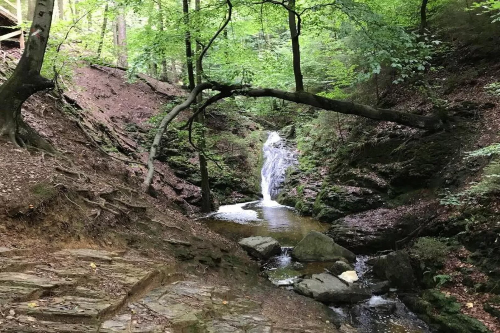 Le Vieux Chene-Gebieden zomer 20km