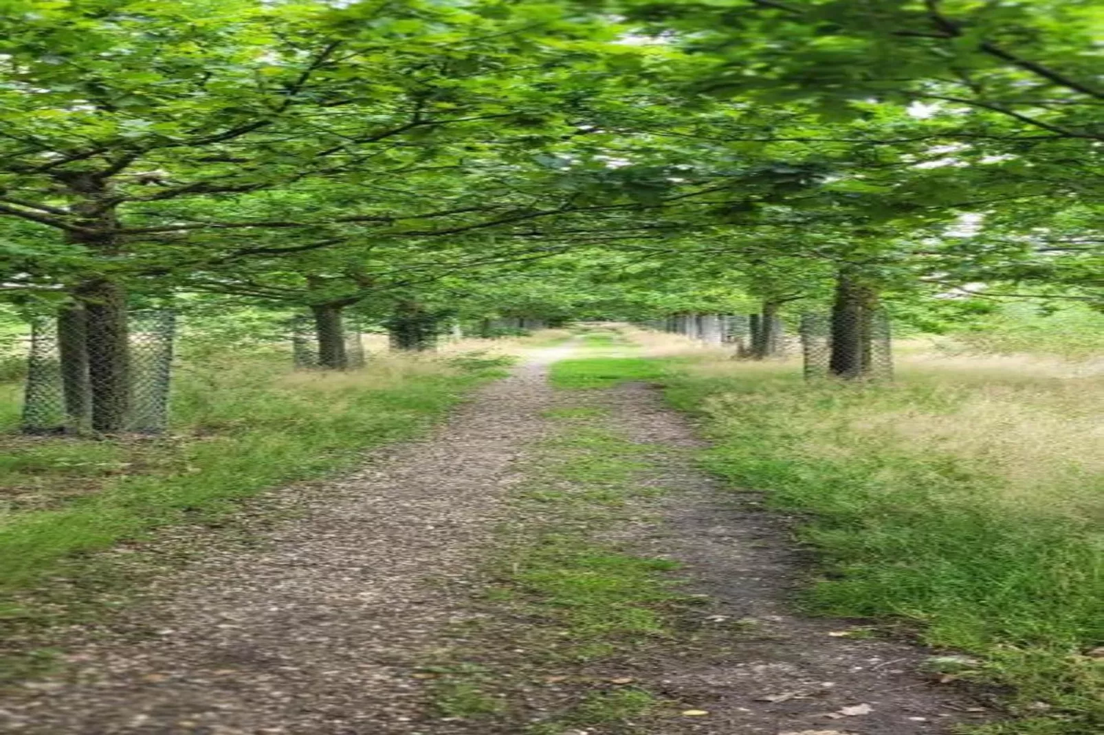 Vakantiepark Sandberghe 13-Gebieden zomer 20km