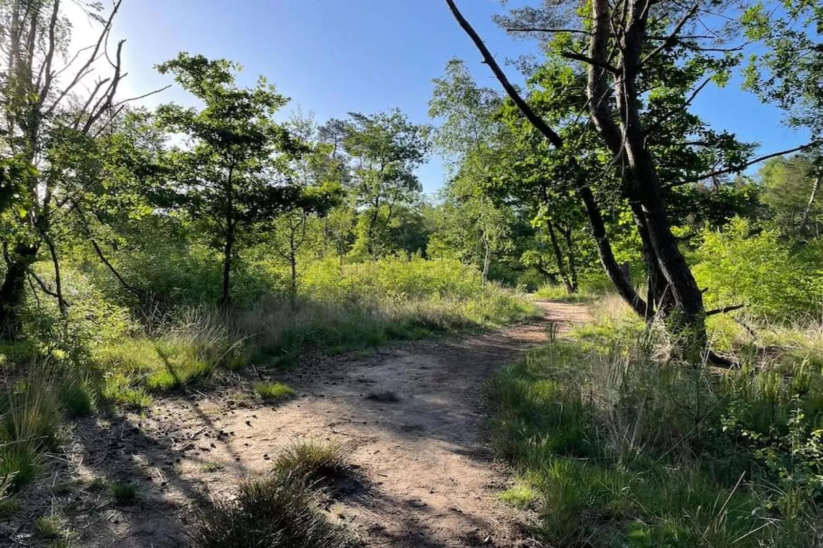 Vakantiepark De Rimboe & De Woeste Hoogte 42-Gebieden zomer 5km