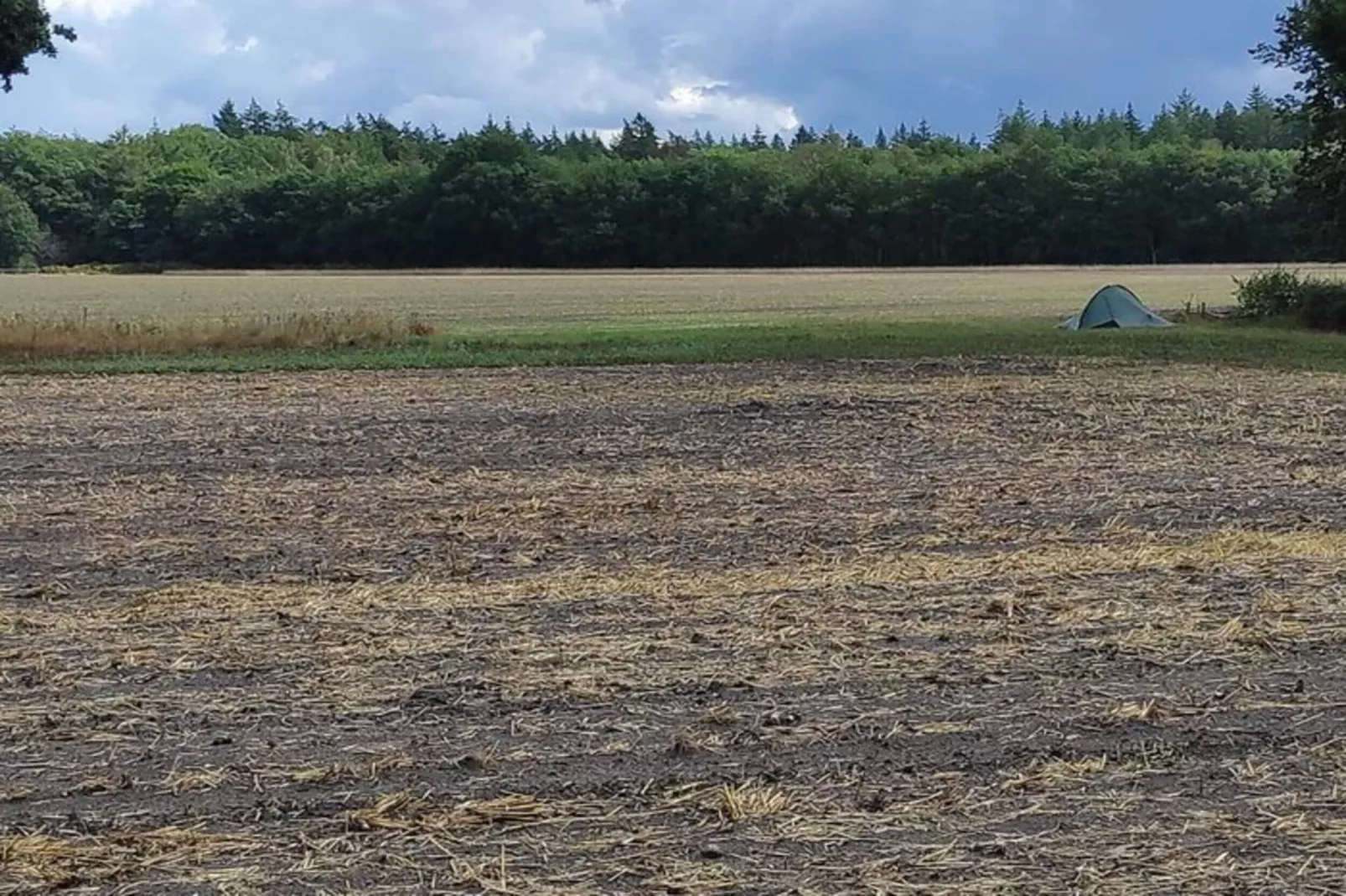 Dwergarend 17-35-Gebieden zomer 20km