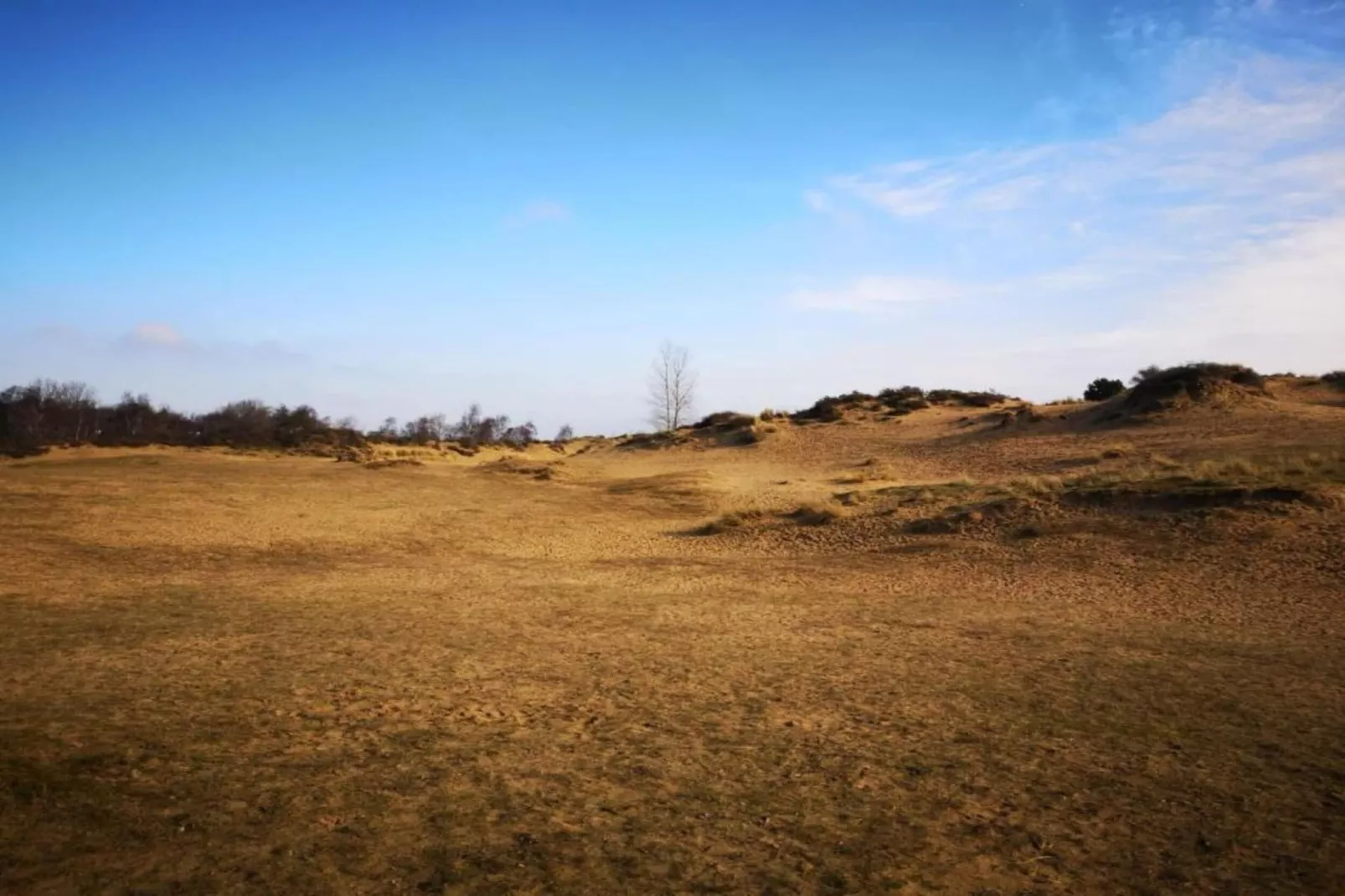 PLAZA Z/Z24-Gebieden zomer 5km
