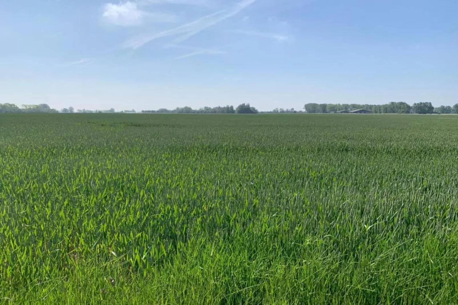 SCORPIO BI 403-Gebieden zomer 20km