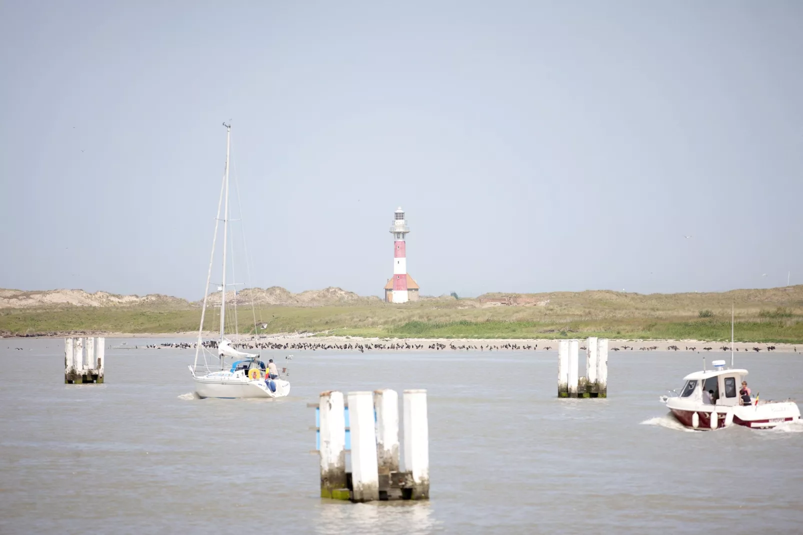 LITTLE PRINCESS 0301-Gebieden zomer 20km