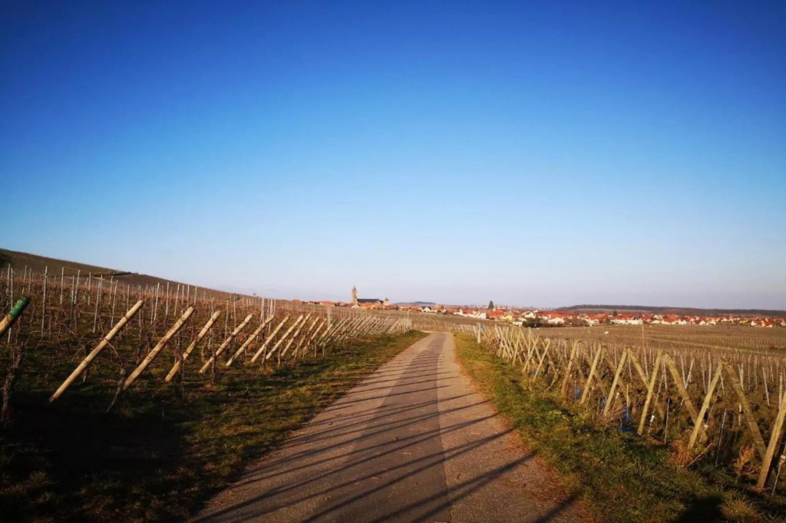 Magnifique Appartement Alsacien-Gebieden zomer 20km