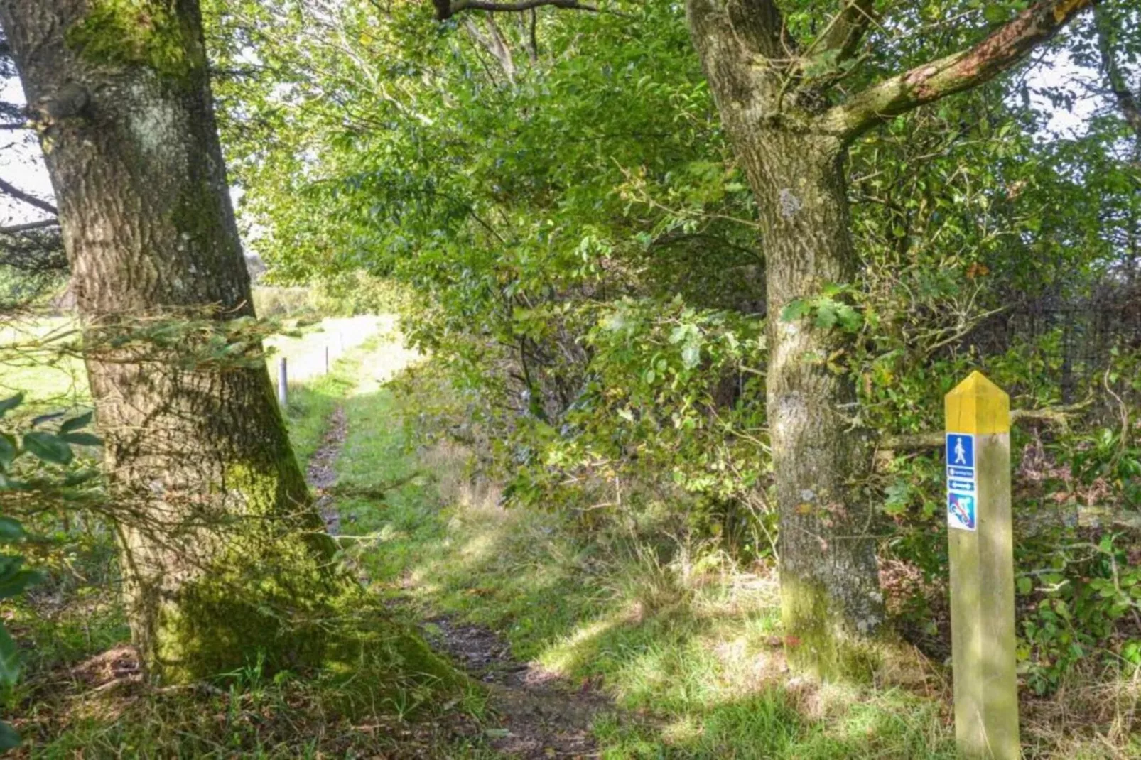 5 sterren vakantie huis in Hovborg-By Traum