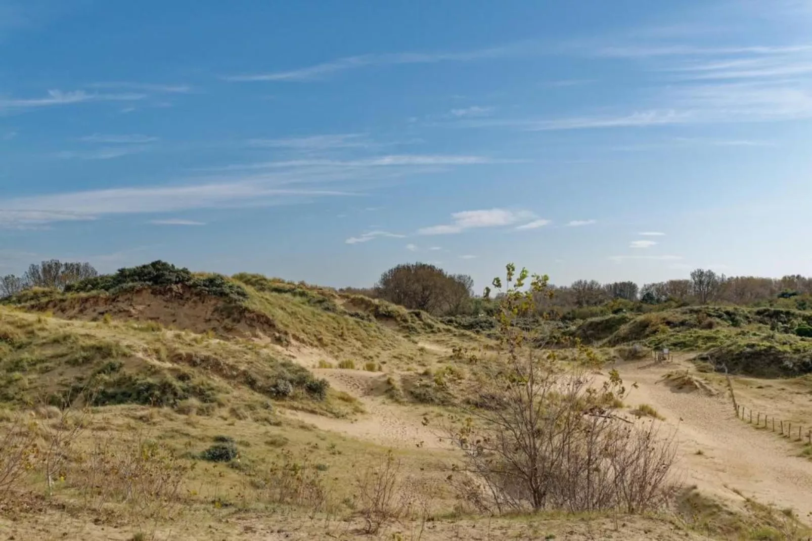 LE GRAND LARGE 701-Gebieden zomer 20km