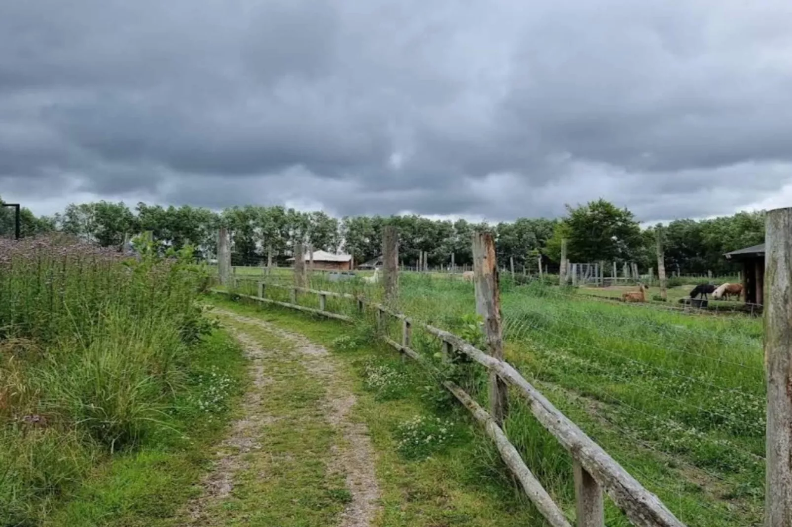 4 persoons vakantie huis in Grevinge-By Traum-Niet-getagd