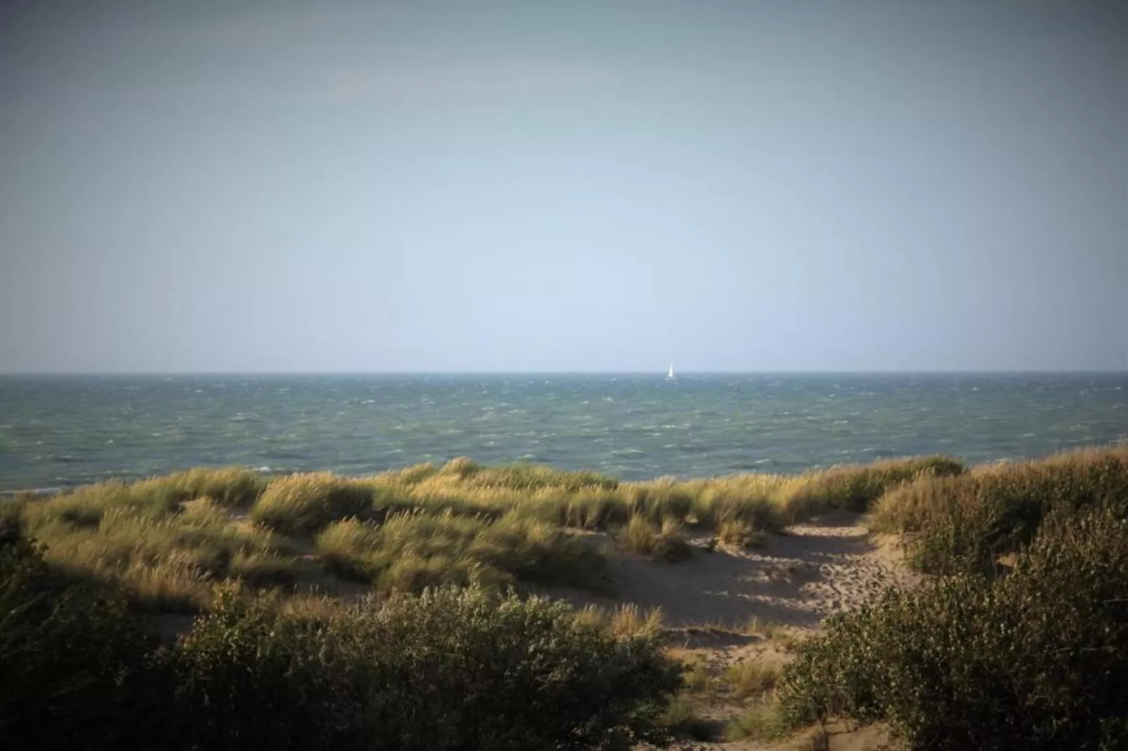 Rosalie 0202-Gebieden zomer 20km