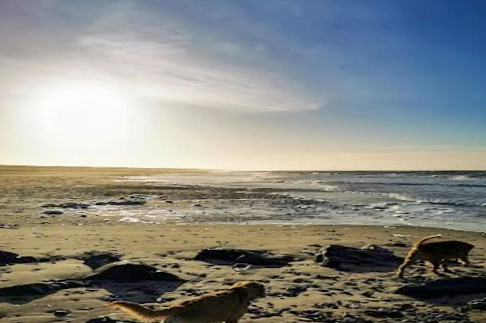 Luxe zwembadhuis nabij zee -- By Traum Ferienwohnungen-Uitzicht