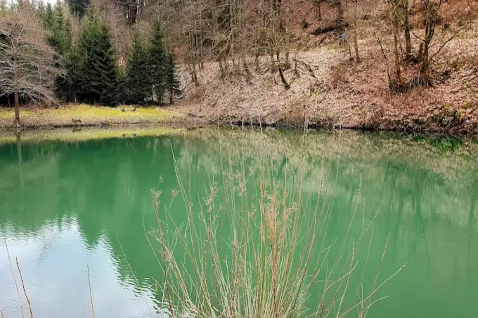 Kleine Auszeit Winterberg-Gebieden zomer 1km