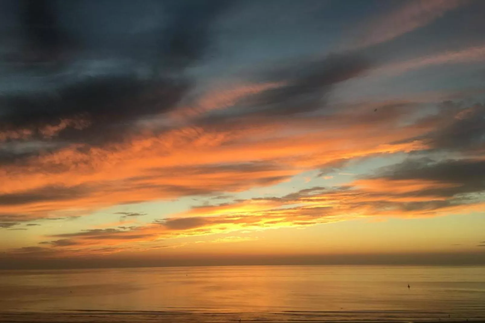 David Teniers-Gebieden zomer 20km