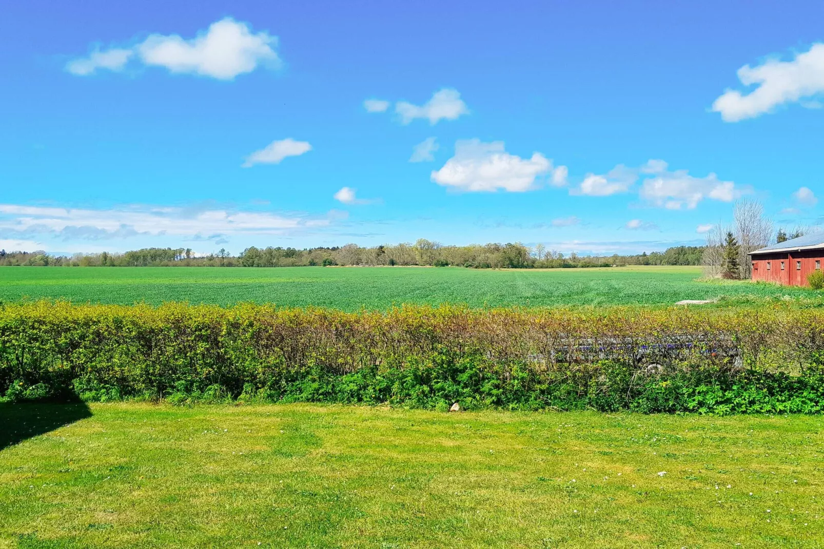 4 sterren vakantie huis in GOTLANDS TOFTA