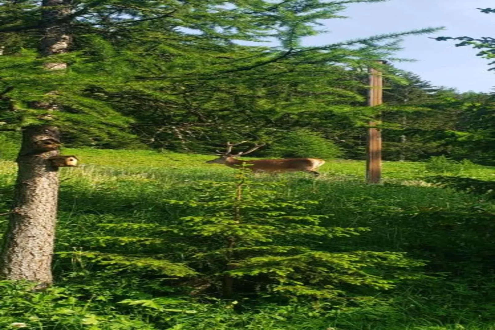 LA TURRA N°301 - 3P6-Gebieden zomer 20km