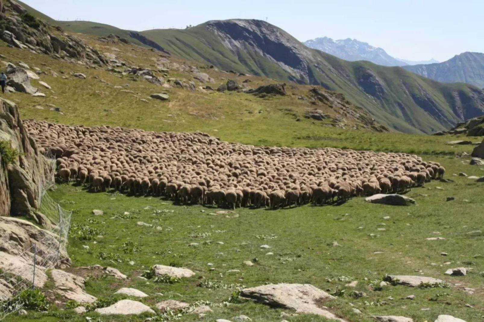 Les Grizzlis N°29 - 4P8-Gebieden zomer 20km