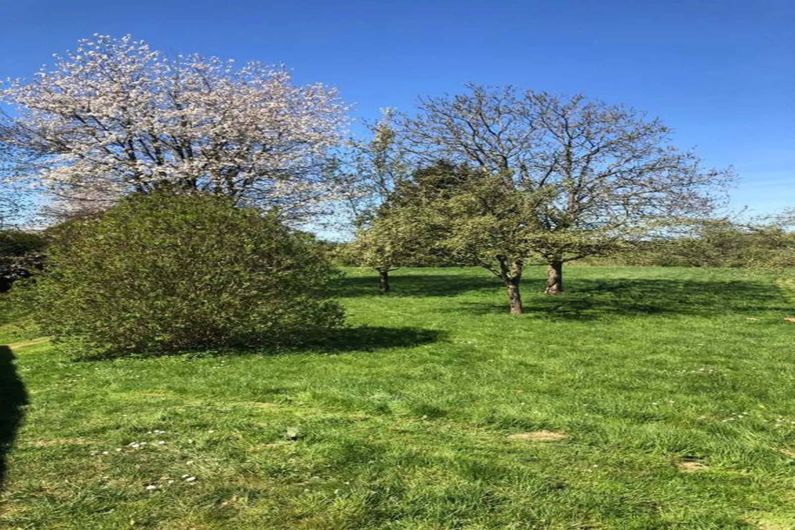 Wooden chalet-Gebieden zomer 20km
