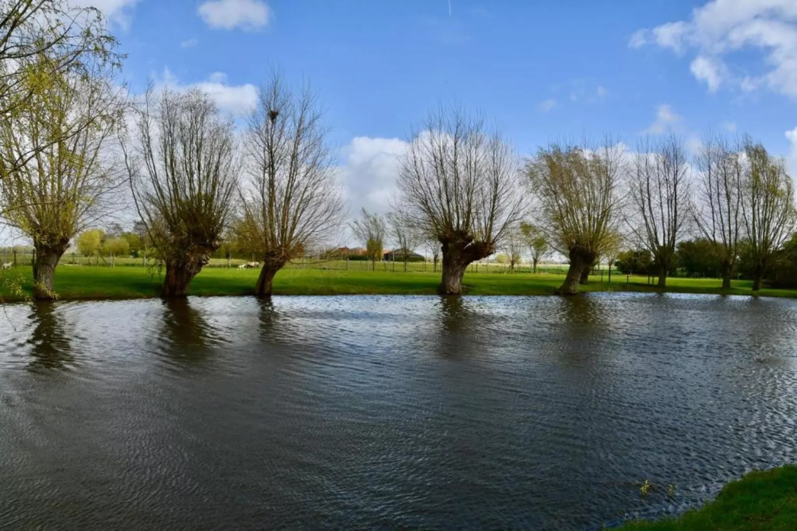 The Green 17-Gebieden zomer 20km