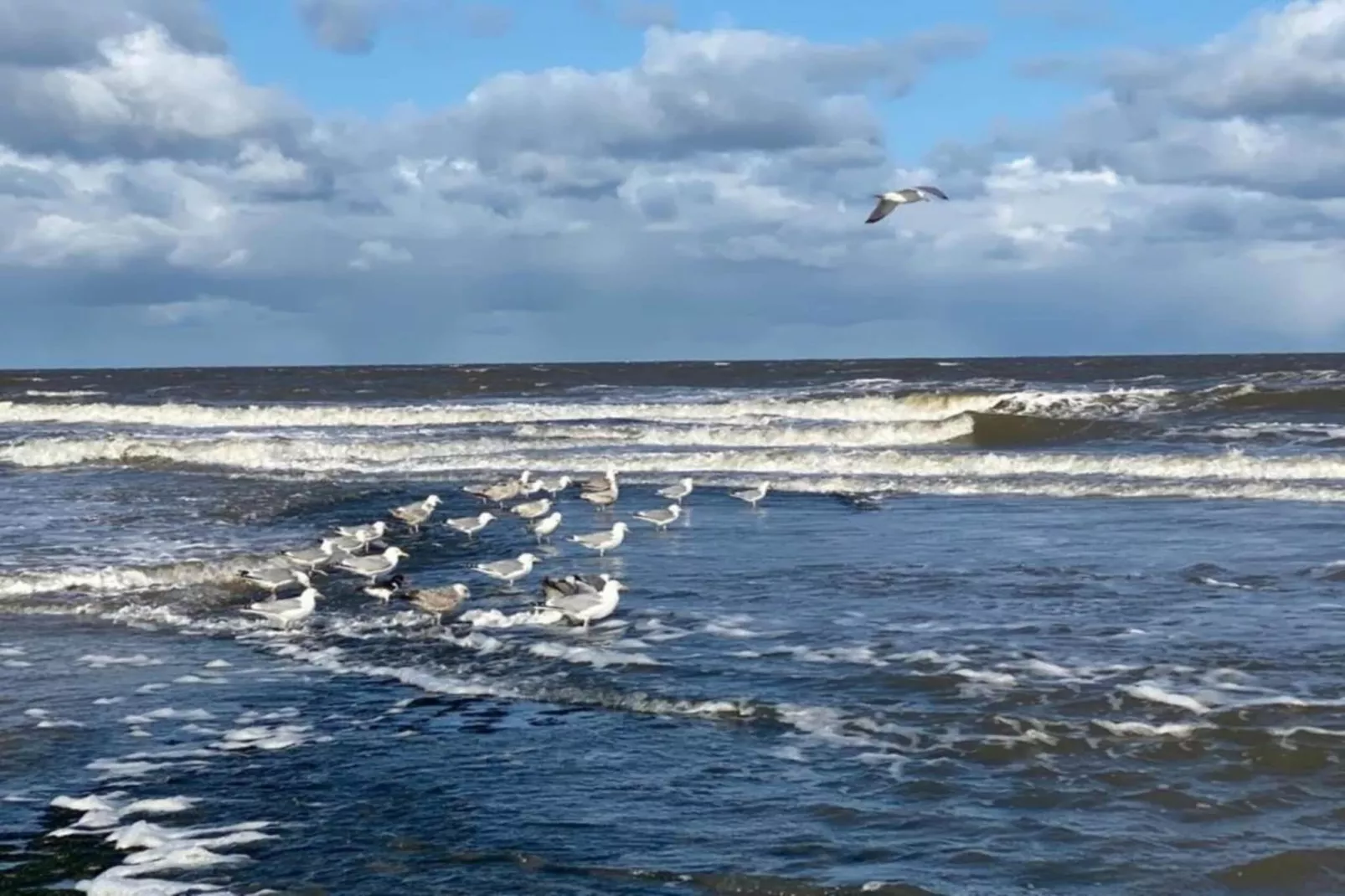 Anzelhoef Apartment Oost-Gebieden zomer 5km