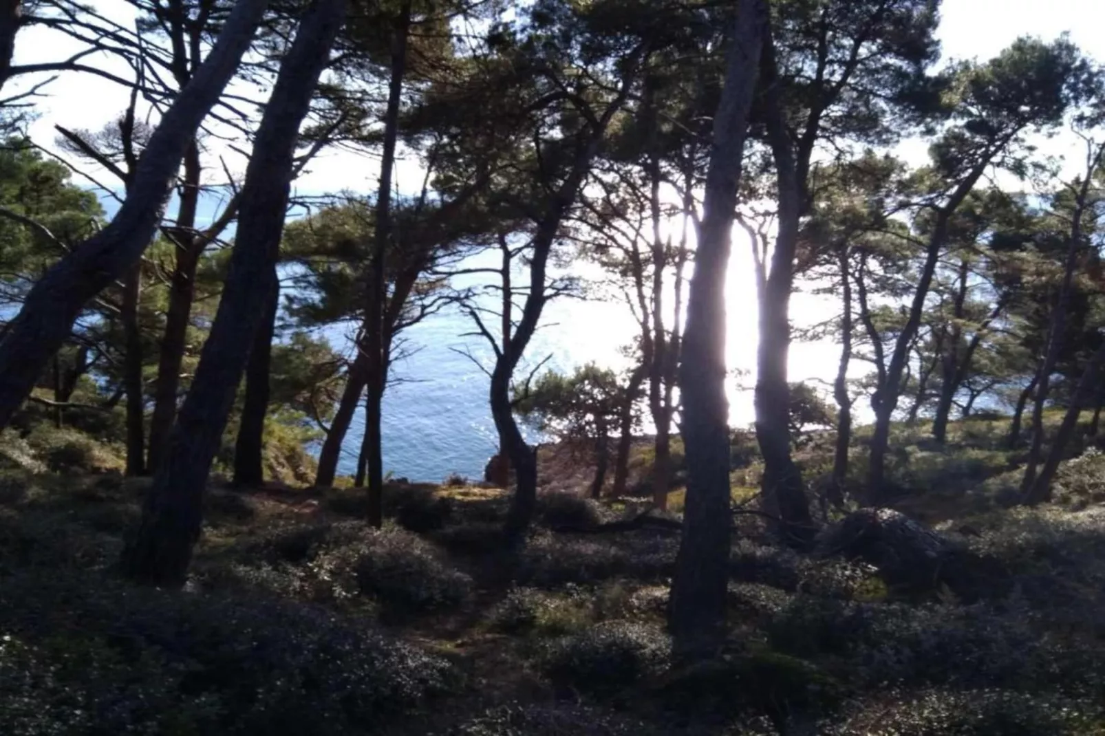 Apartment Banjole - 200 m from the Beach-Gebieden zomer 20km