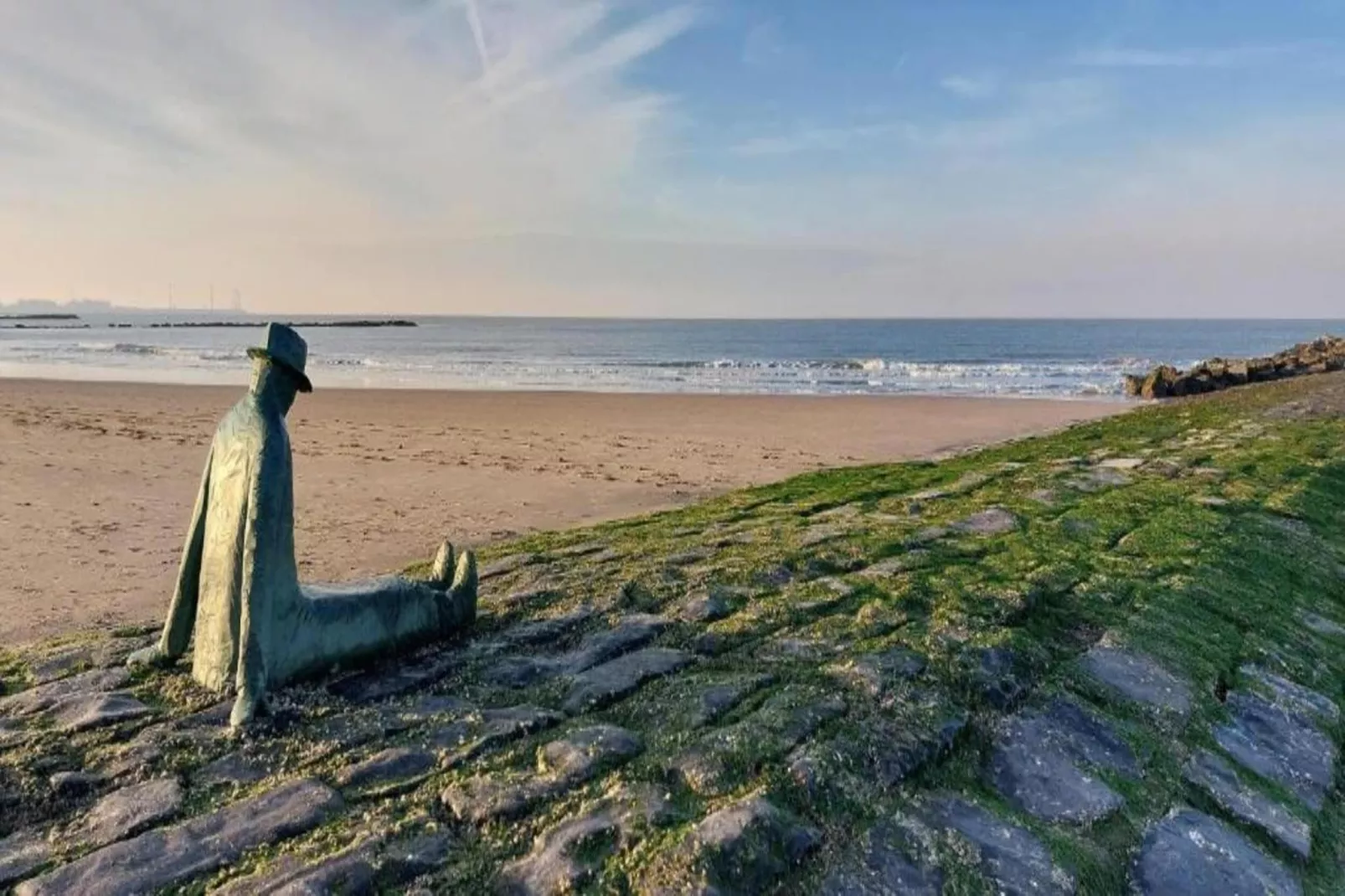 Residentie ARGO-21-Gebieden zomer 1km