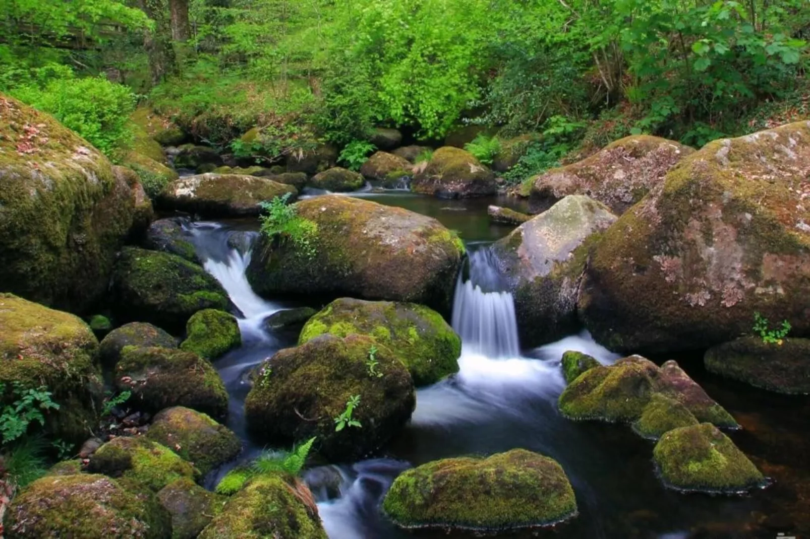 Little Dunley - Apple Lodge-Gebieden zomer 5km