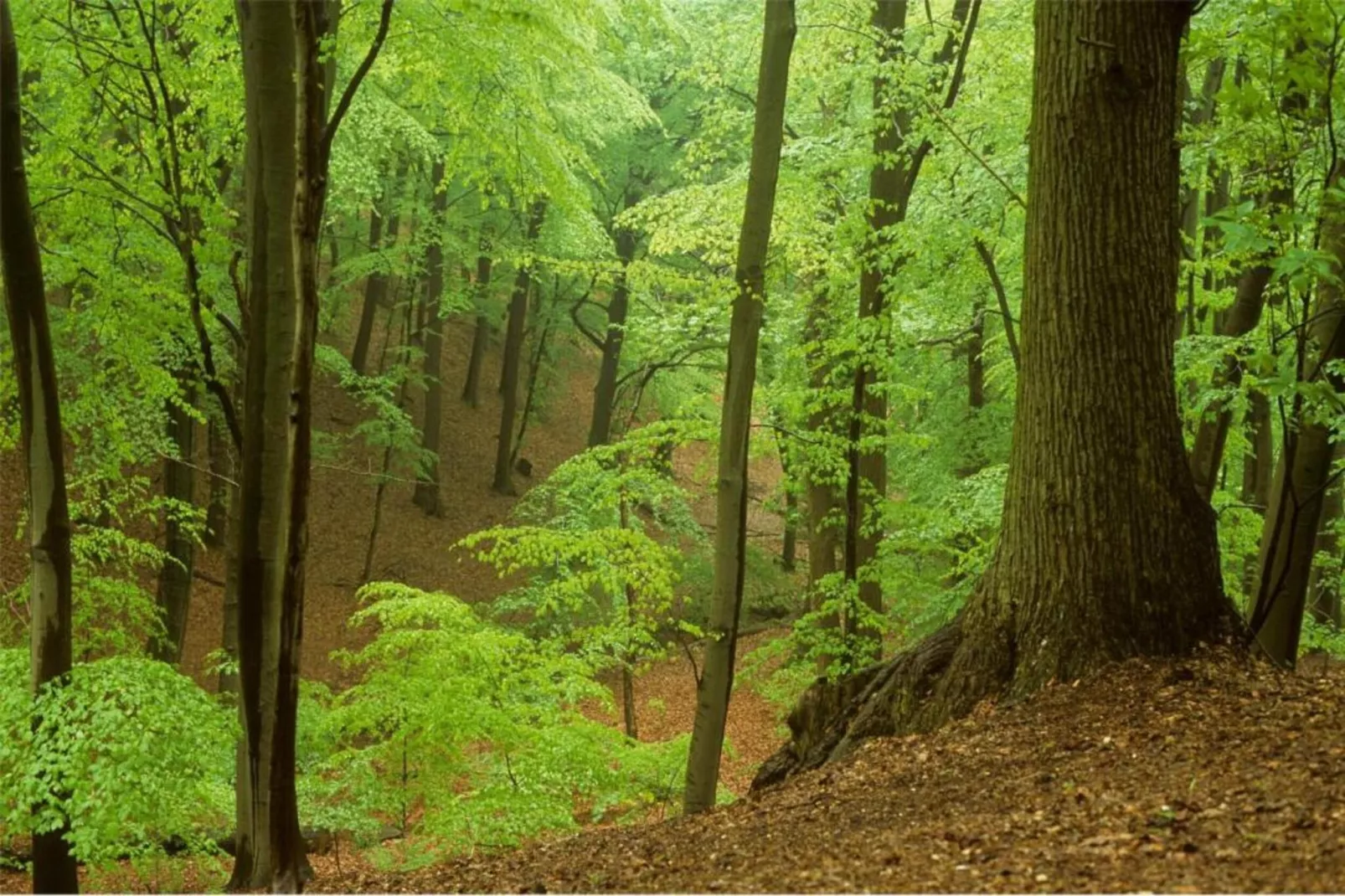 Strandpark Vlugtenburg 15-Gebieden zomer 20km
