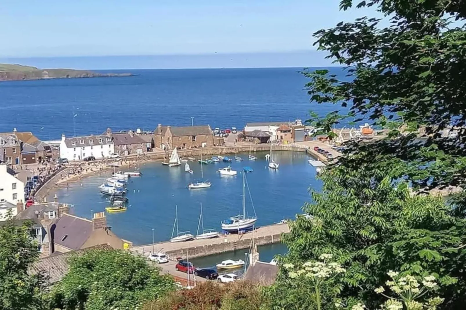 Brentwood Aberdeen  Standard Double-Gebieden zomer 20km