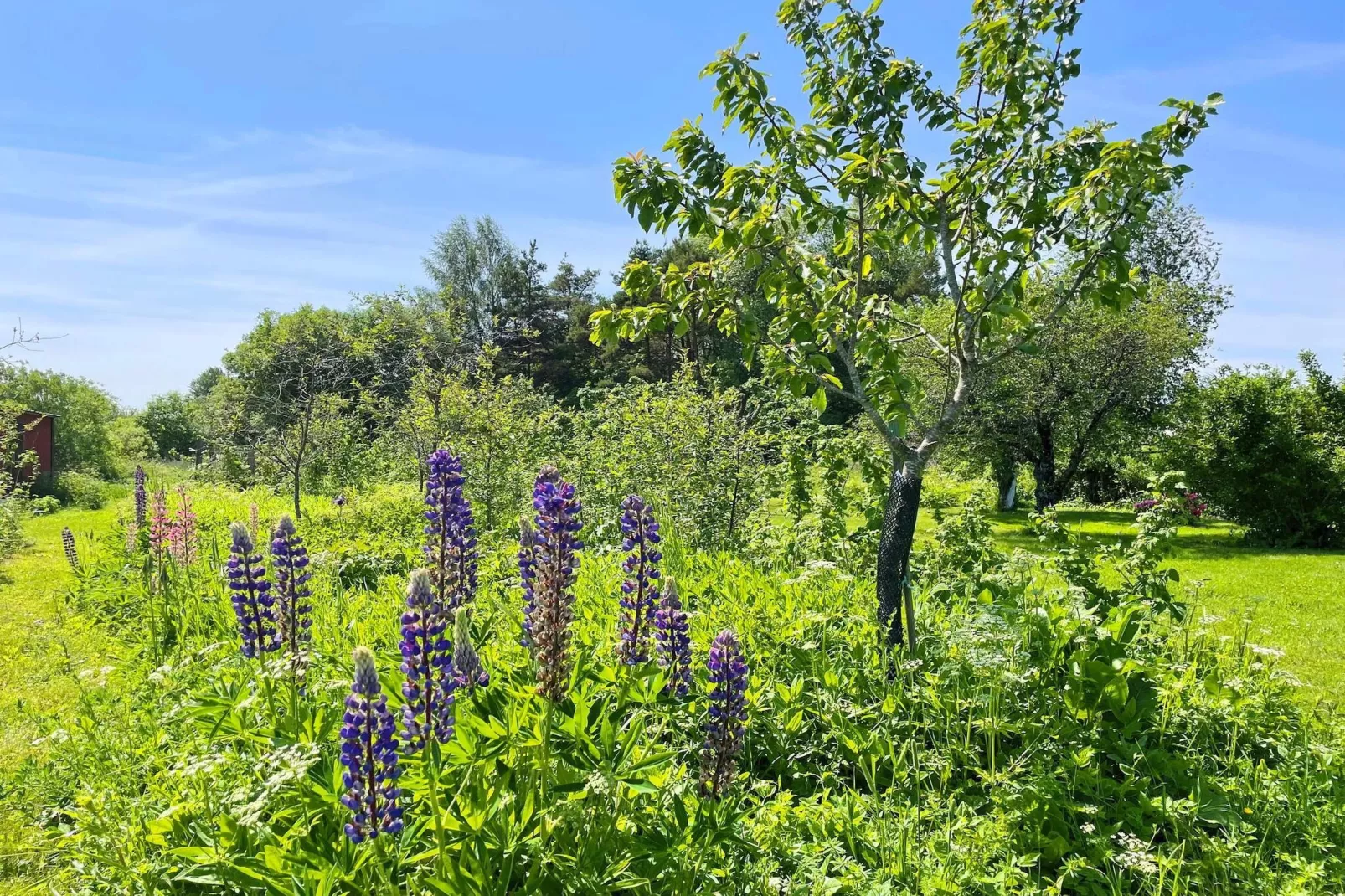 Charmant tuinhuisje in Levide-Buitenlucht