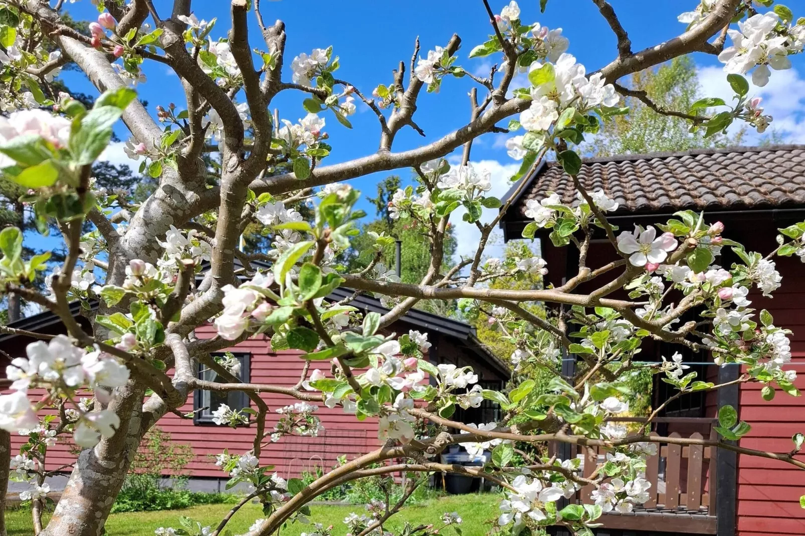 4 sterren vakantie huis in NORRTÄLJE-Buitenlucht