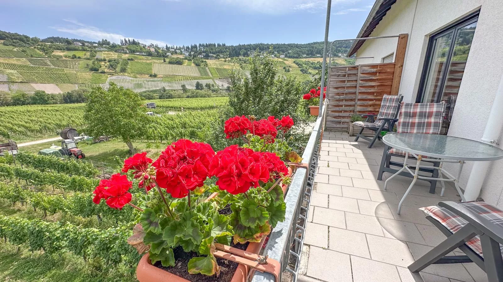 Hermes-Lex Weingut