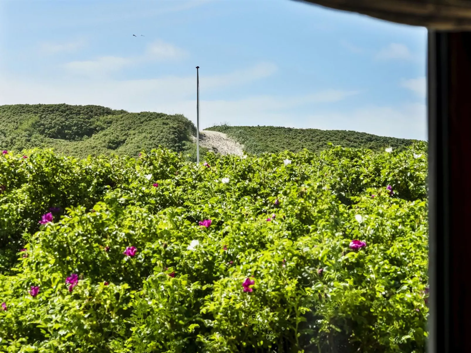 "Georg" - 200m from the sea-Buiten