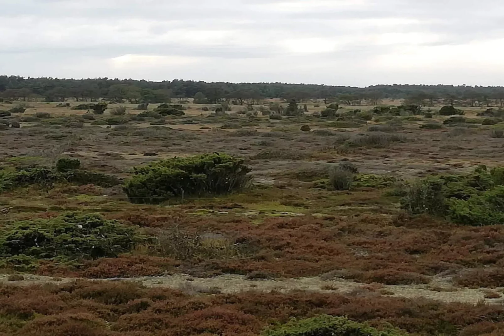 4 persoons vakantie huis in Hadsund-Niet-getagd