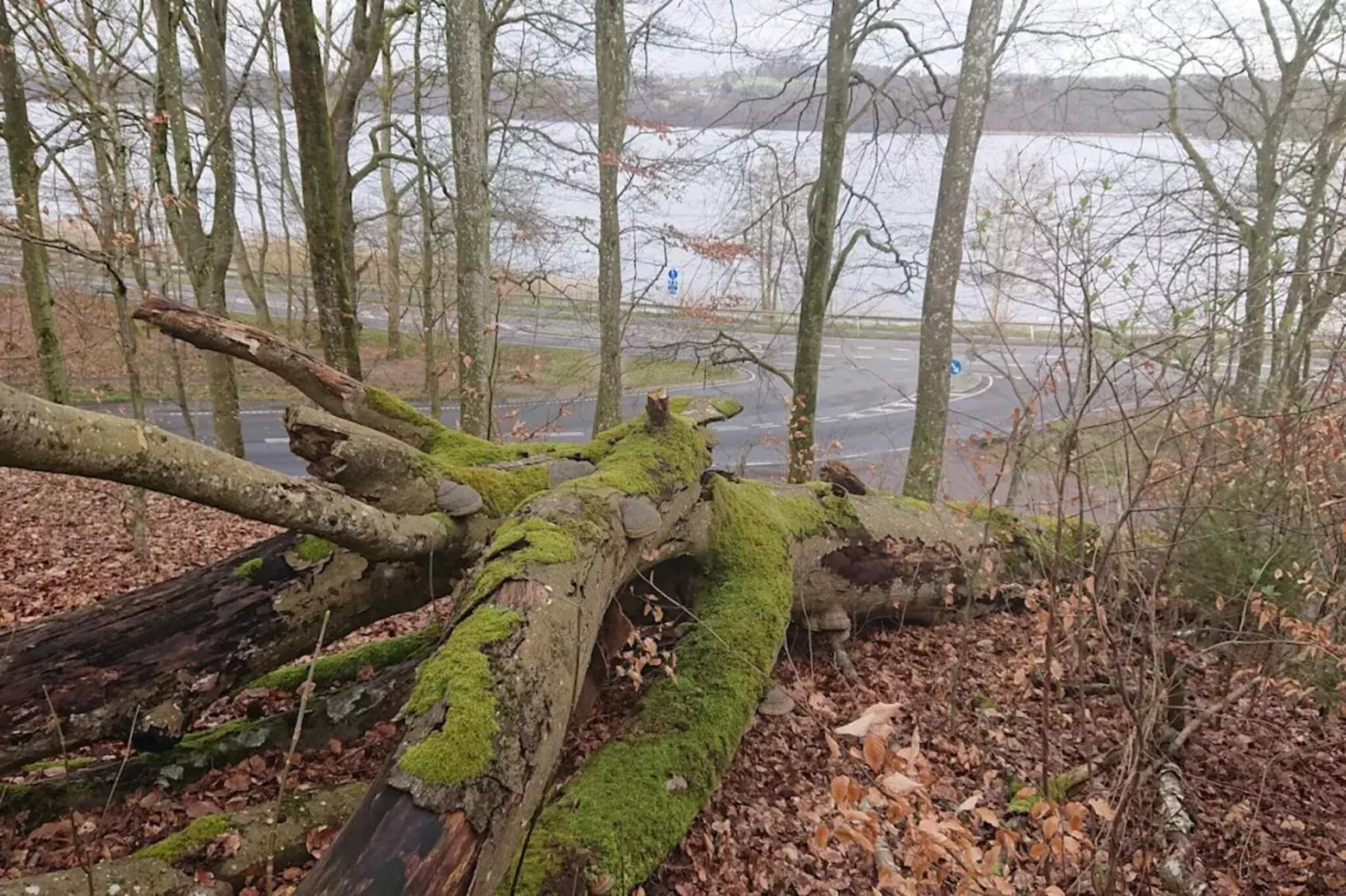 Rustige oevertoevlucht in Ry-By Traum-Waterzicht