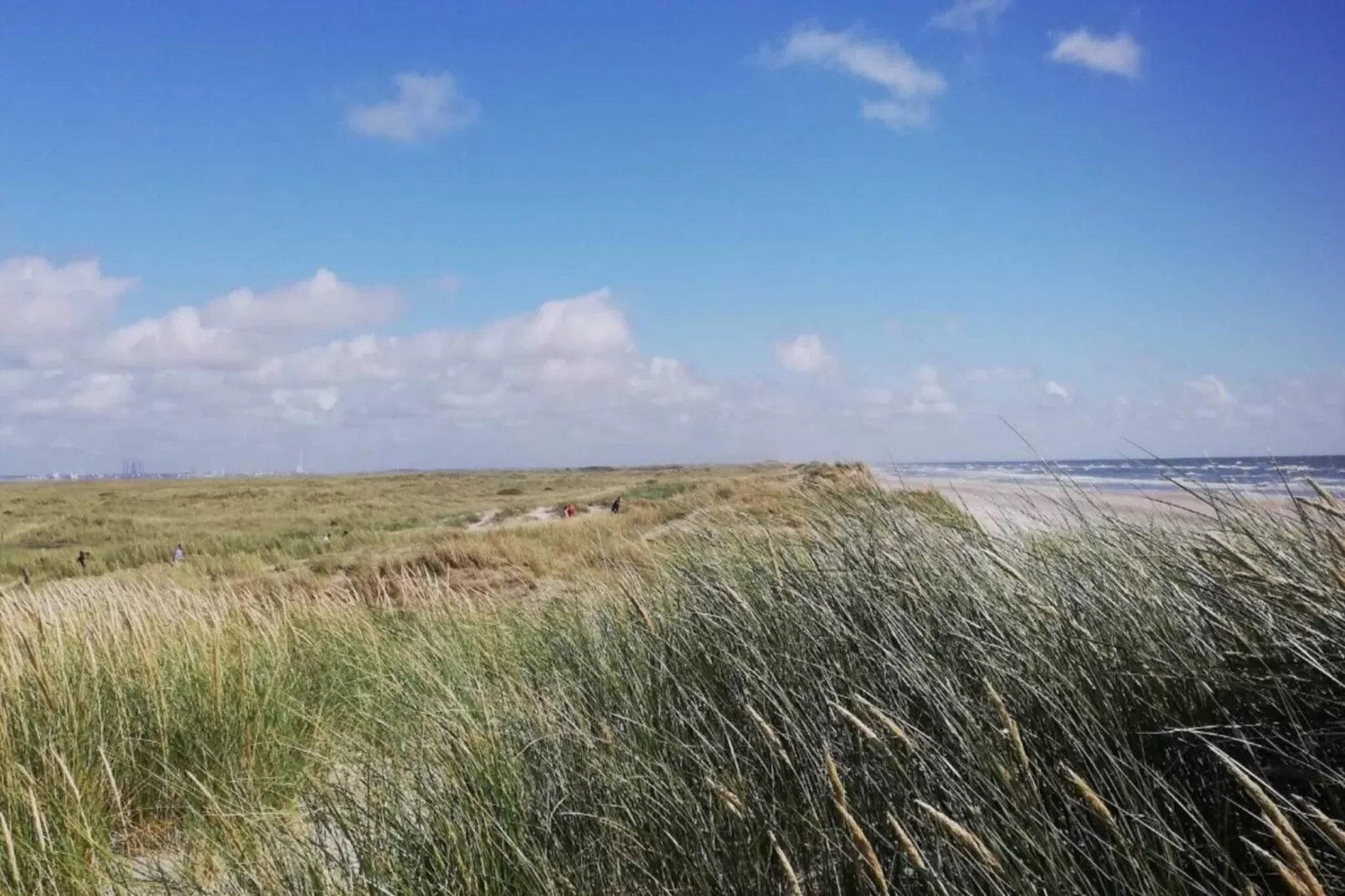 6 persoons vakantie huis in Esbjerg V