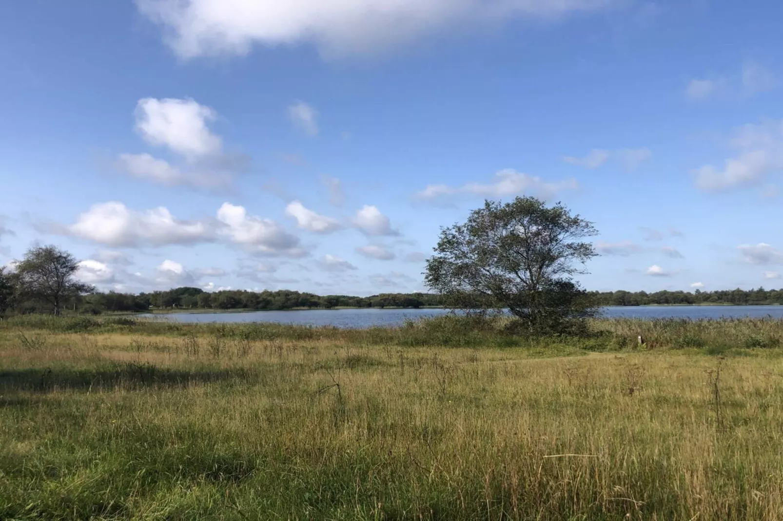 5 persoons vakantie huis in Ansager-By Traum-Waterzicht