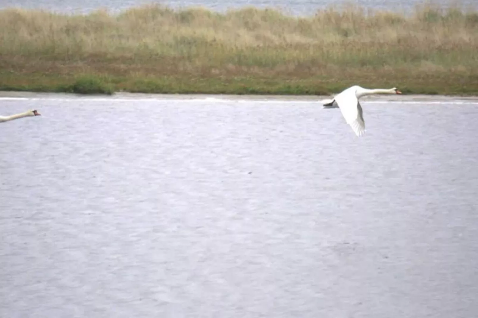 6 persoons vakantie huis in Hals-By Traum-Buitenlucht