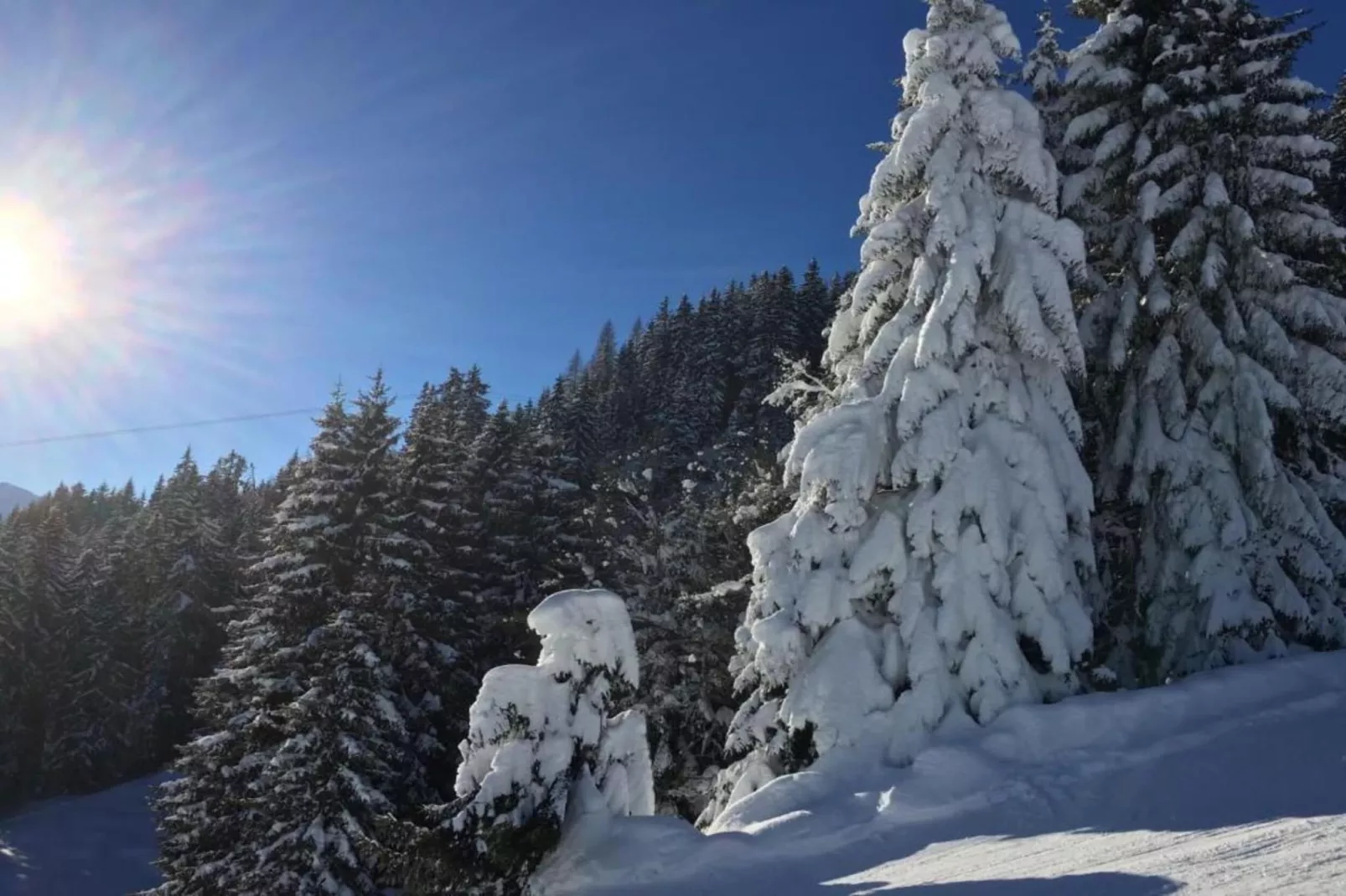 Apartment "Grasberge"-Gebied winter 20km