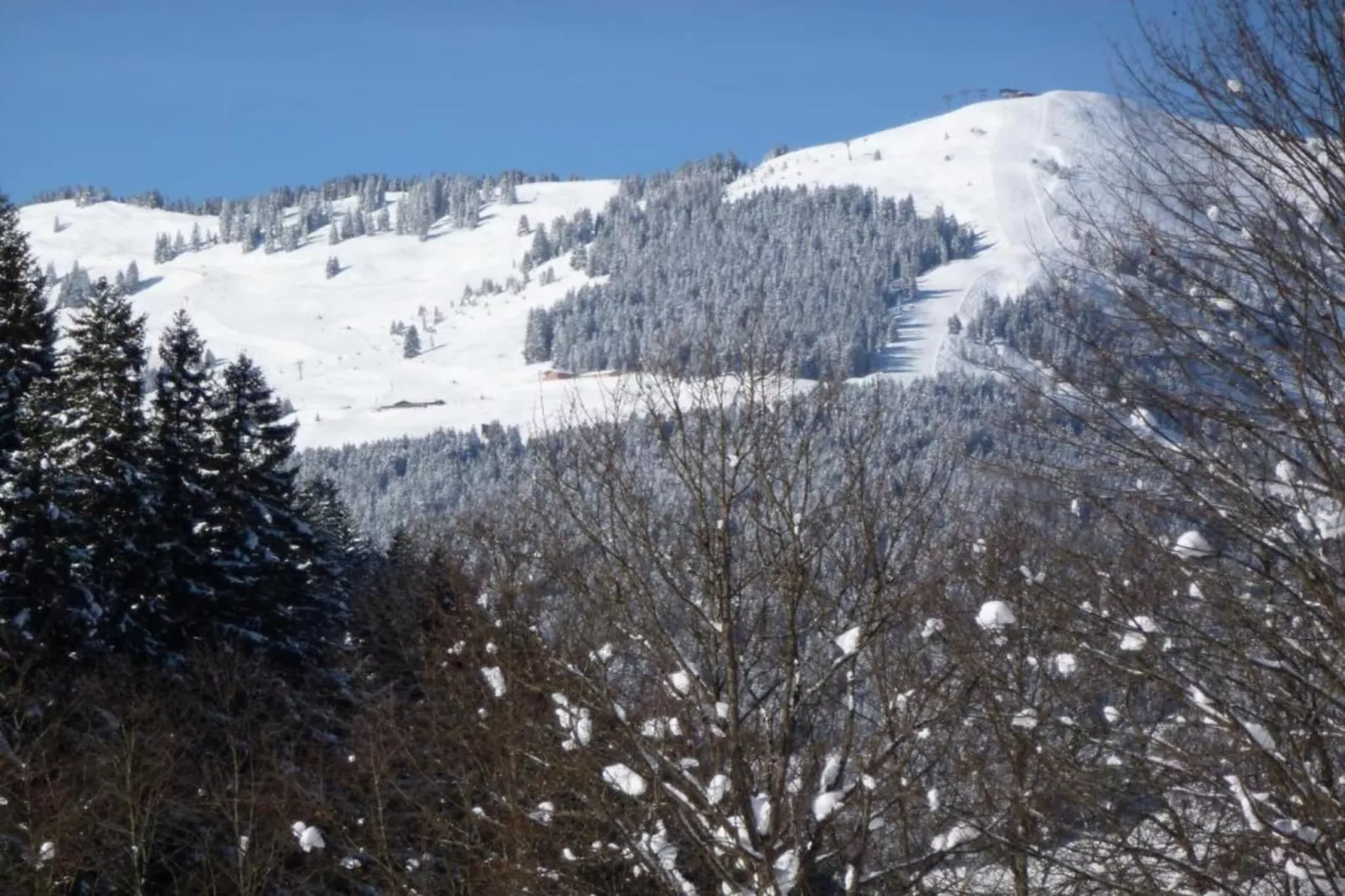 Chalet Apartment Mittenwald Top 2-Gebied winter 20km