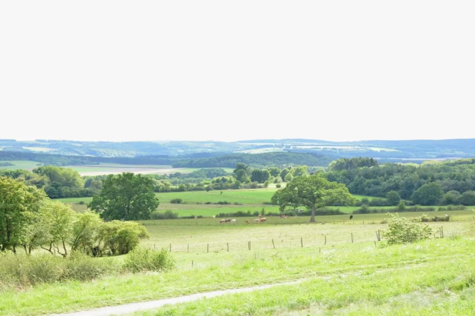 Le Vieux Tilleul du Château-Gebieden zomer 20km