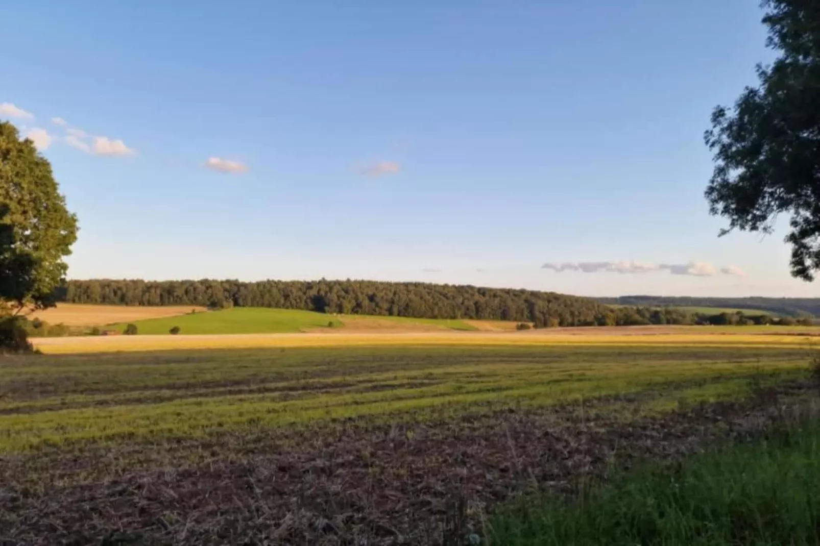 Boskant-Gebieden zomer 20km